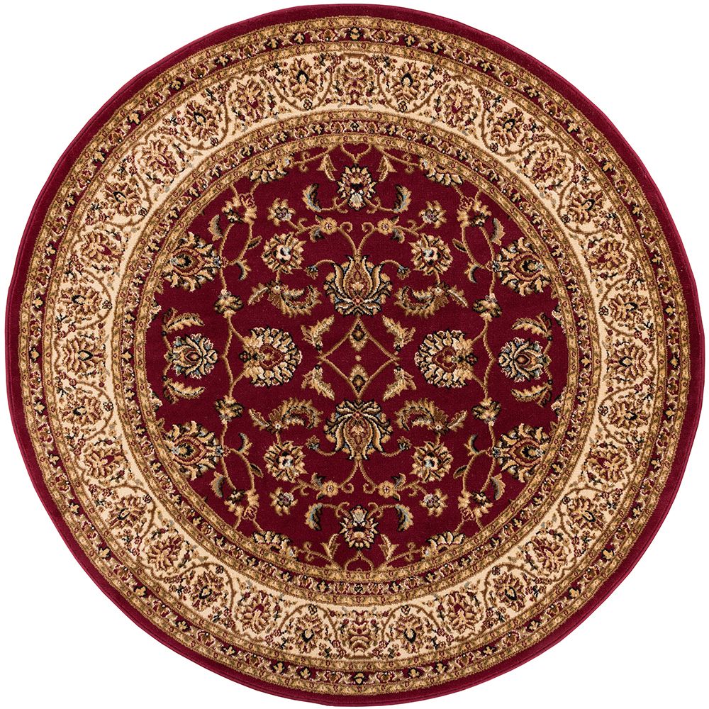 Sarouk Red Traditional Rug 54930