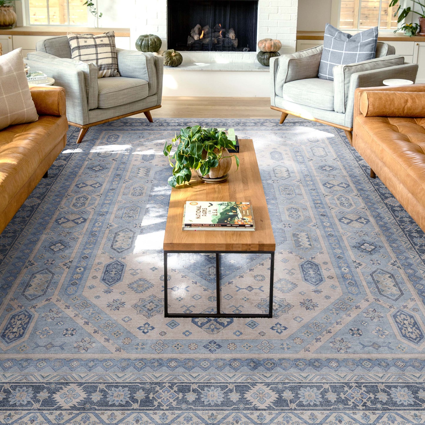 Apollo Nicosia Blue Rug W-AP-26B