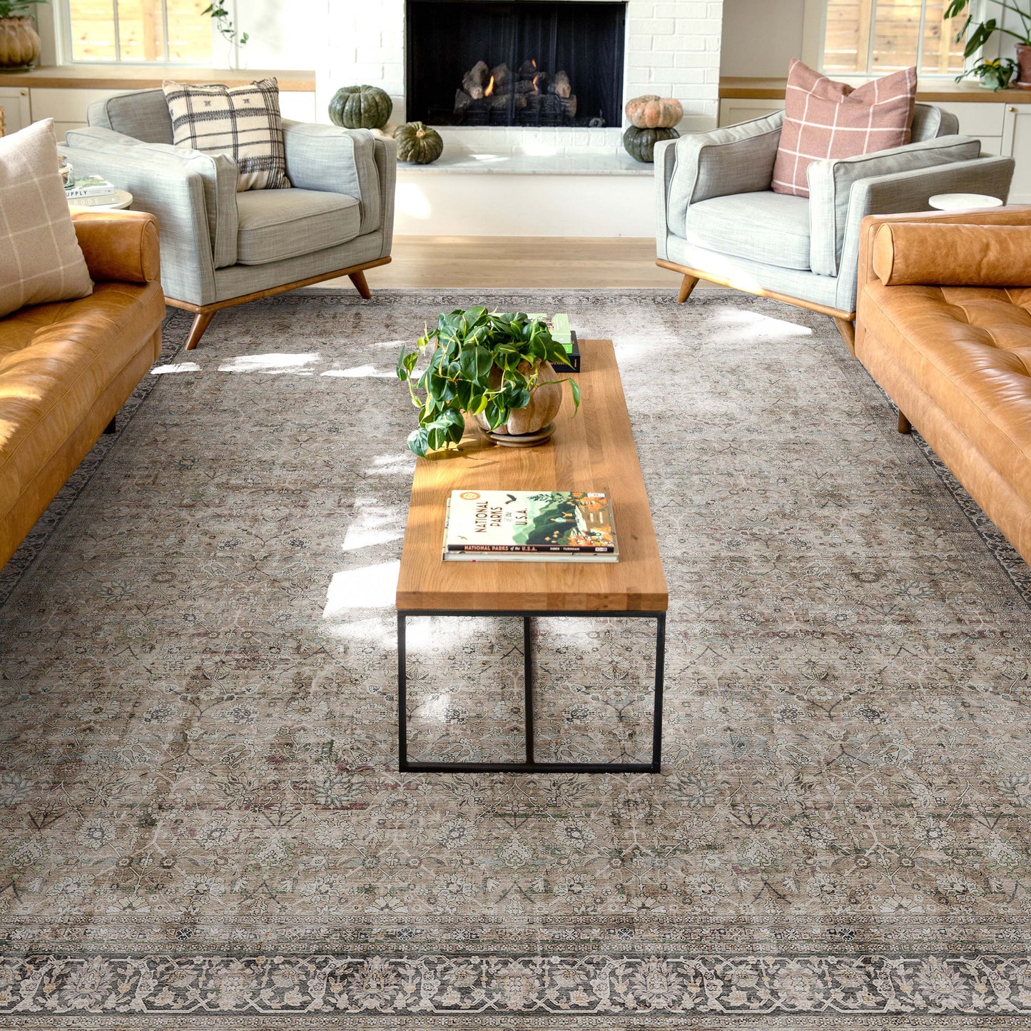 Asha Delphine Beige Rug W-AS-07A