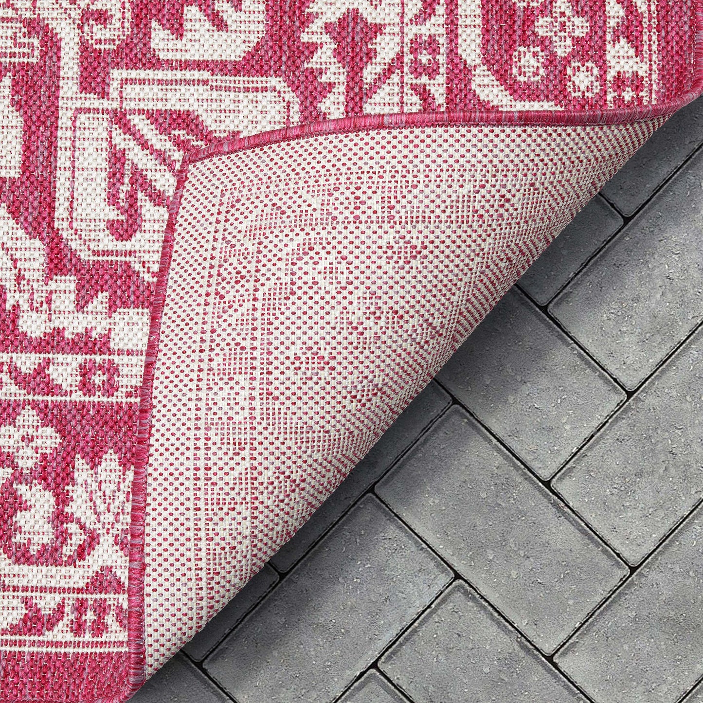 Celesine Oriental Medallion Indoor/Outdoor Fuschia Flat-Weave Rug LIA-190