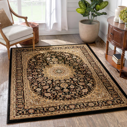 Aviva Black Traditional Rug 3643