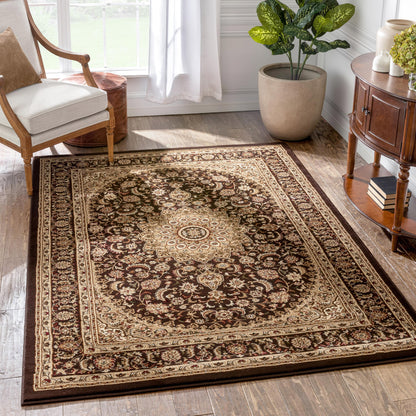 Aviva Brown Traditional Rug 3647