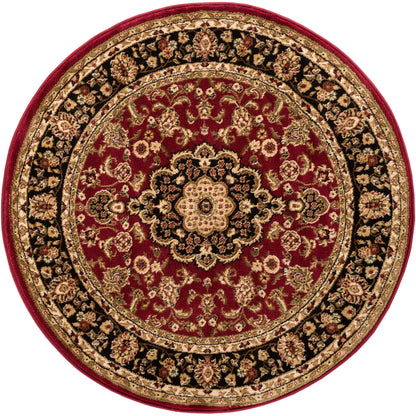 Medallion Kashan Red Traditional Rug 54100