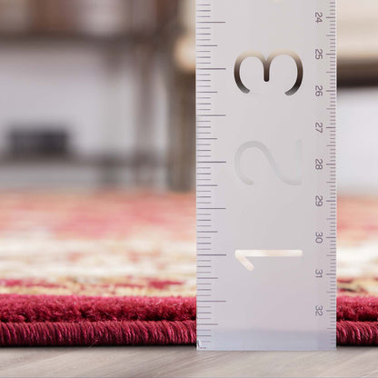 Sarouk Red Traditional Rug 54930