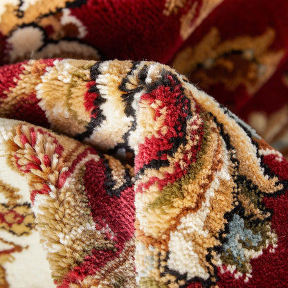 Sarouk Red Traditional Rug 54930