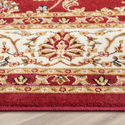 Sarouk Red Traditional Rug 54930