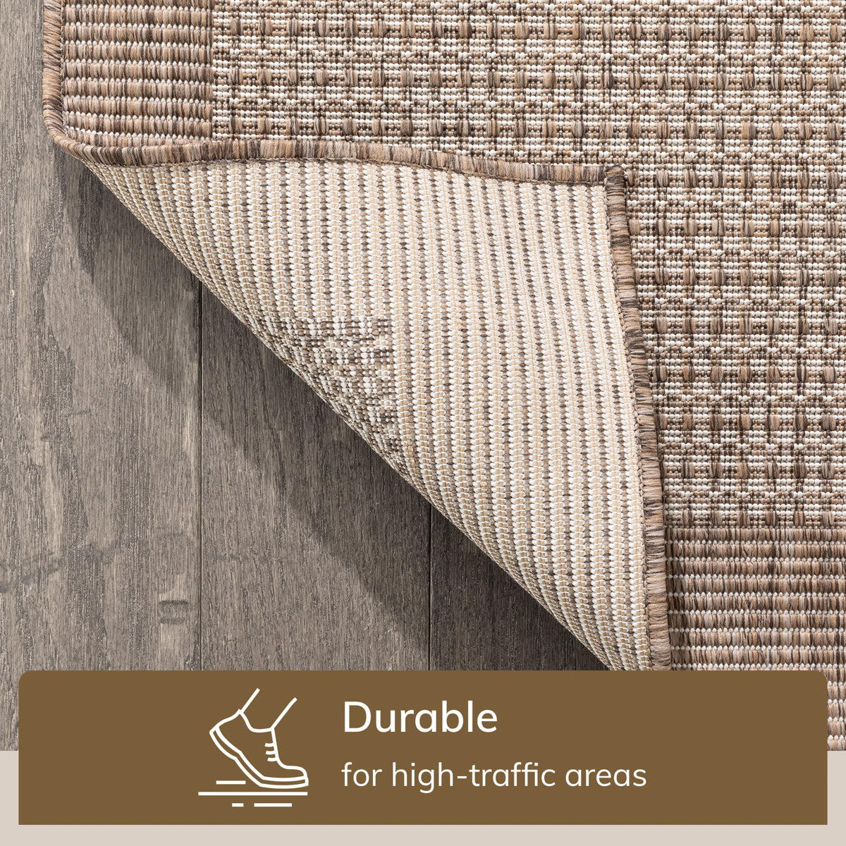 Odin Solid & Striped Border Indoor Outdoor Ivory Flatweave Rug MED-32