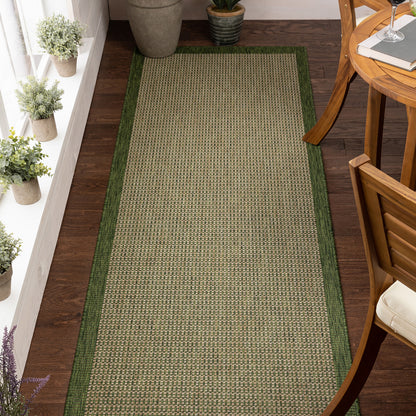 Odin Solid & Striped Border Indoor Outdoor Green Flatweave Rug MED-35