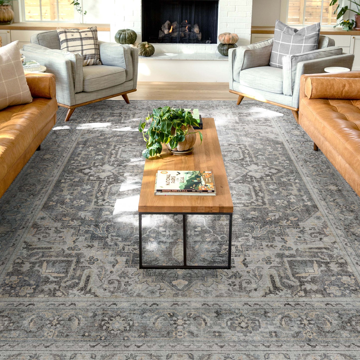 Apollo Tirana Dark Grey Rug W-AP-28C
