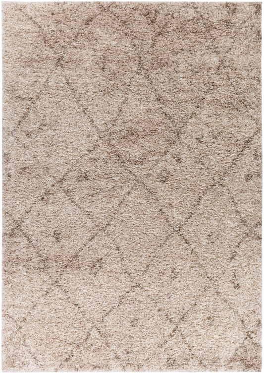 Moroccan Lattice Vanilla Contemporary Rug 7062