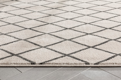 Aiden Trellis Modern Ivory Soft Rug BAL-22
