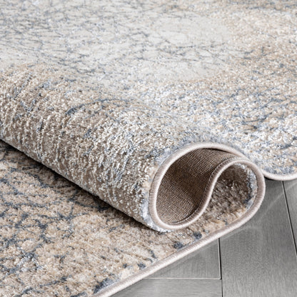 Joelle Vintage Abstract Floral Grey Glam Rug CAI-77