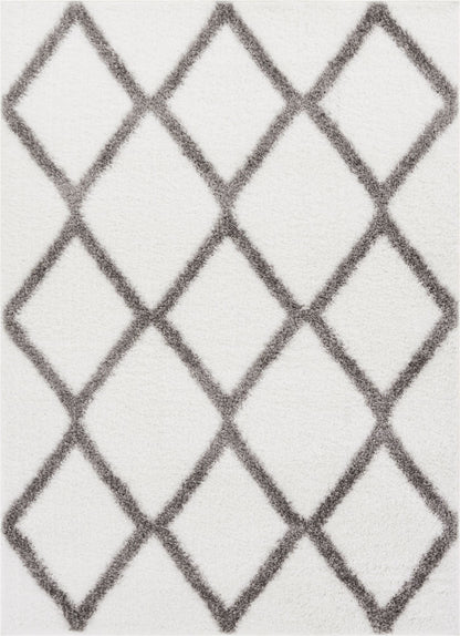 Miraculous White Modern Shag Rug CO-12