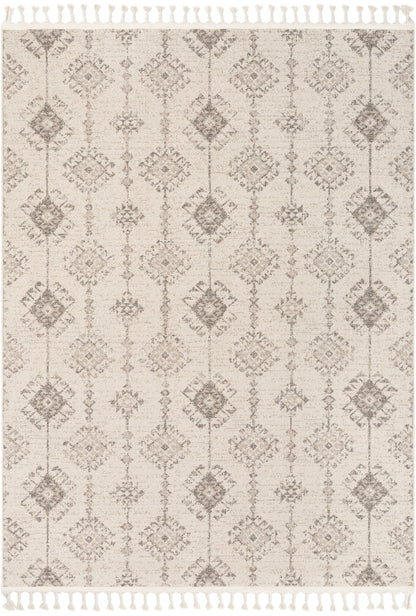 Concetta Moroccan Trellis Beige Kilim-Style Rug LDL-112