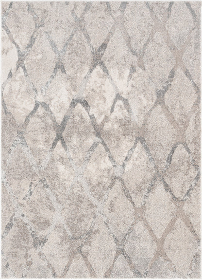 Cecil Moroccan Lattice Trellis Ivory Vintage Rug LIS-102