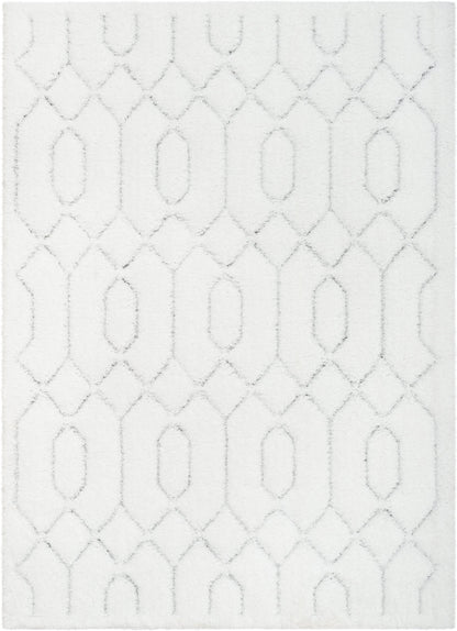 Winona Honeycomb Hexagon Pattern Shag Ivory 3D Textured Rug LOG-142