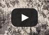 <iframe width="560" height="315" src="https://www.youtube.com/embed/CvwY3Lv8zIw?version=3&loop=1&playlist=CvwY3Lv8zIw&autoplay=1&amp;controls=0&amp;showinfo=0" frameborder="0"></iframe>