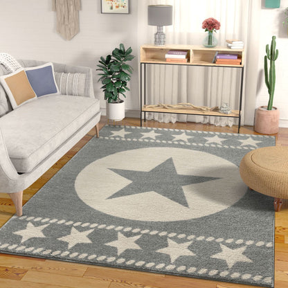 Sparrow Grey Modern Rug MC-317