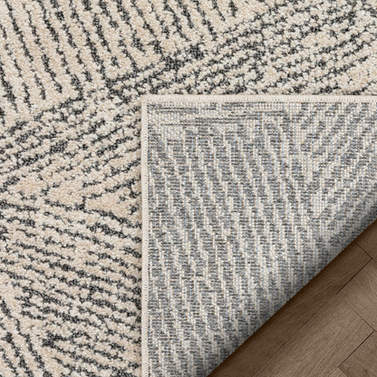 Enzo Tribal Geometric Lines Beige Distressed High-Low Rug MG-112
