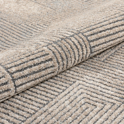 Donna Tribal Geometric Abstract Beige Distressed High-Low Rug MG-212