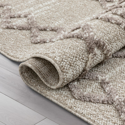 Skylar Moroccan Diamond Pattern Ivory/Brown High-Low Textured Rug SAL-12