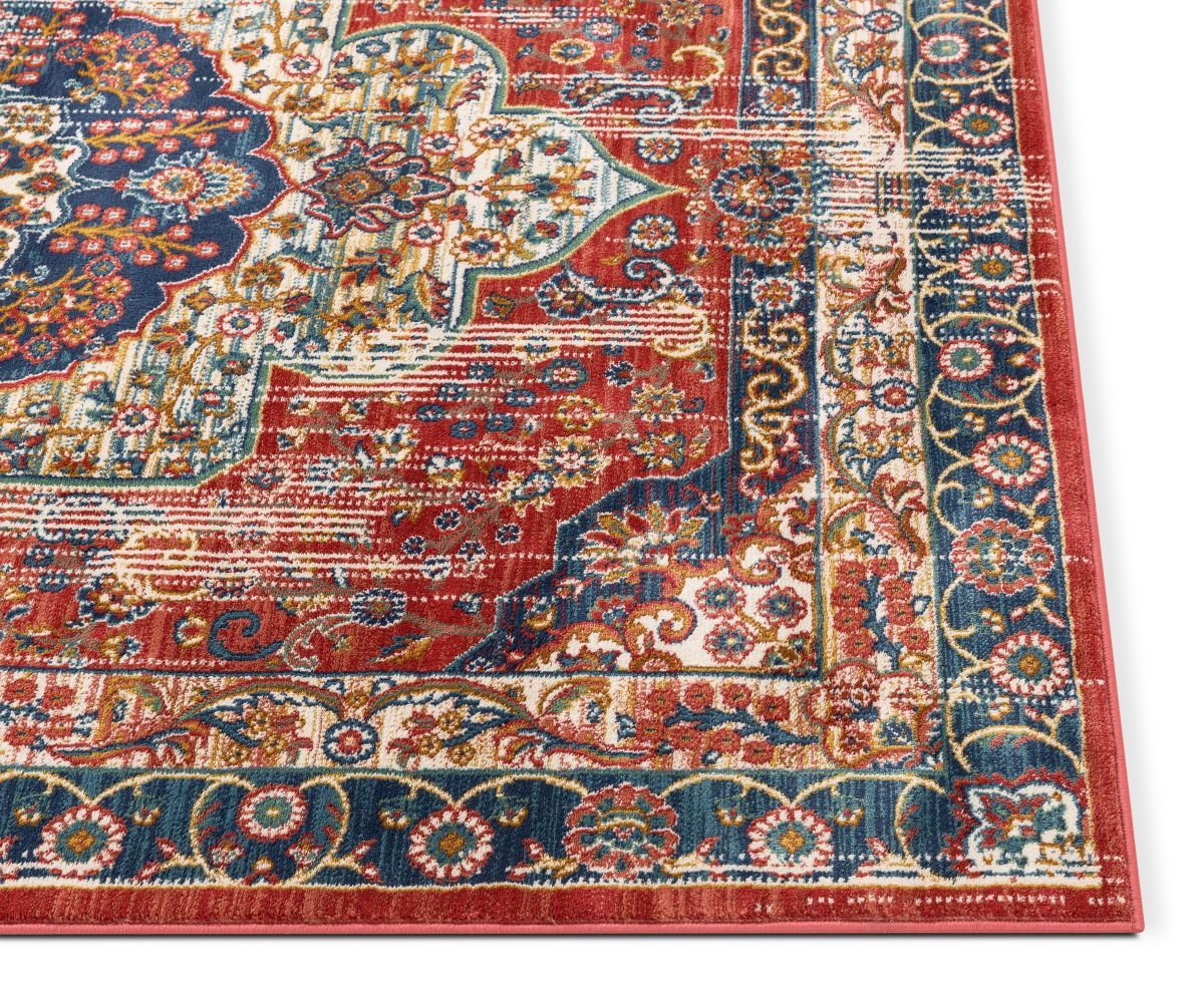 Alisha Crimson Traditional Medallion Distressed Rug TU-20