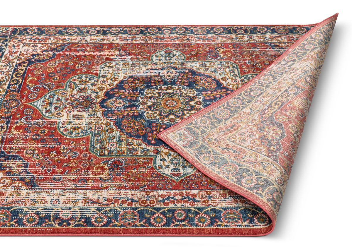 Alisha Crimson Traditional Medallion Distressed Rug TU-20