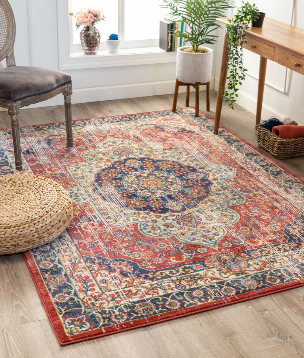 Alisha Crimson Traditional Medallion Distressed Rug TU-20